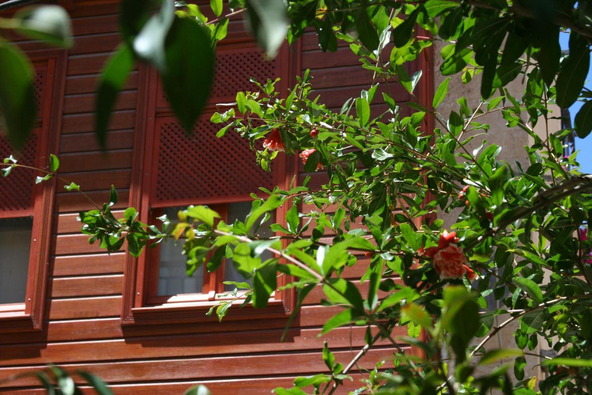 Ionas Boutique Hotel La Canea Exterior foto
